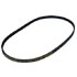 Alternator Belt