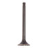 Exhaust Valve
