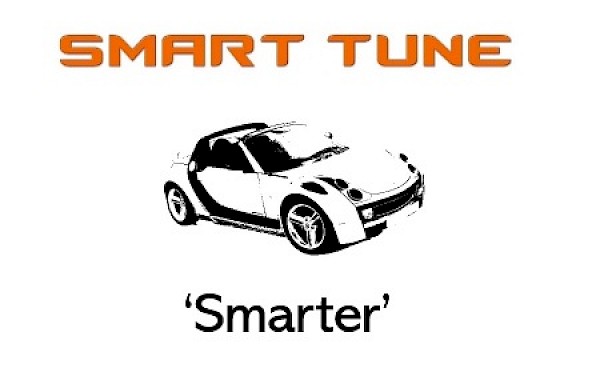 Smart Fortwo Smarter Front Bottom Ball Joint - Fortwo 07 - 2014