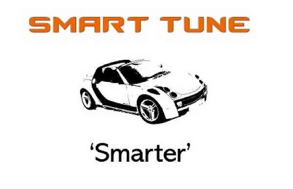 Smart Fortwo Smarter Top Suspension Rubber Bearing - Fortwo 07 To 2014