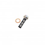 Smart Fortwo Sump Oil Pan Drain Plug And Washer - Fortwo 07 - 2014