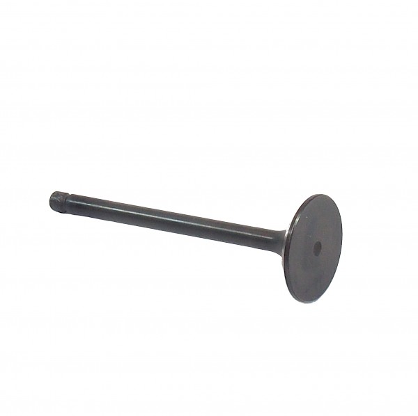 Smart Roadster Inlet Valve