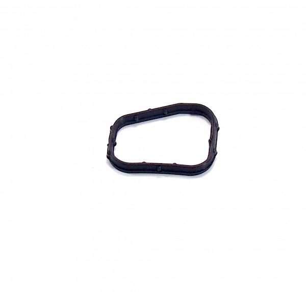 Smart Roadster Thermostat Seal To Head