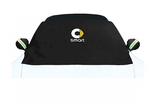 Smart Windscreen Frost Ice Snow Protector - Fortwo up to 07