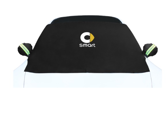 Smart Windscreen Frost Ice Snow Protector - Fortwo up to 07