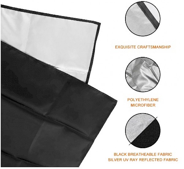 Smart Windscreen Frost Ice Snow Protector - Fortwo up to 07