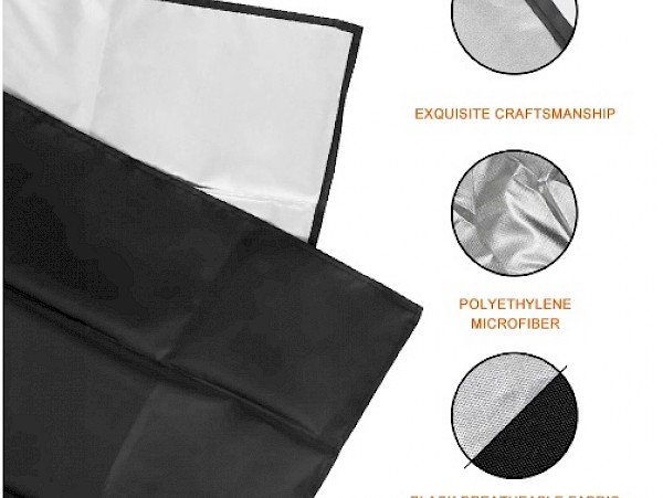 Smart Windscreen Frost Ice Snow Protector - Fortwo up to 07